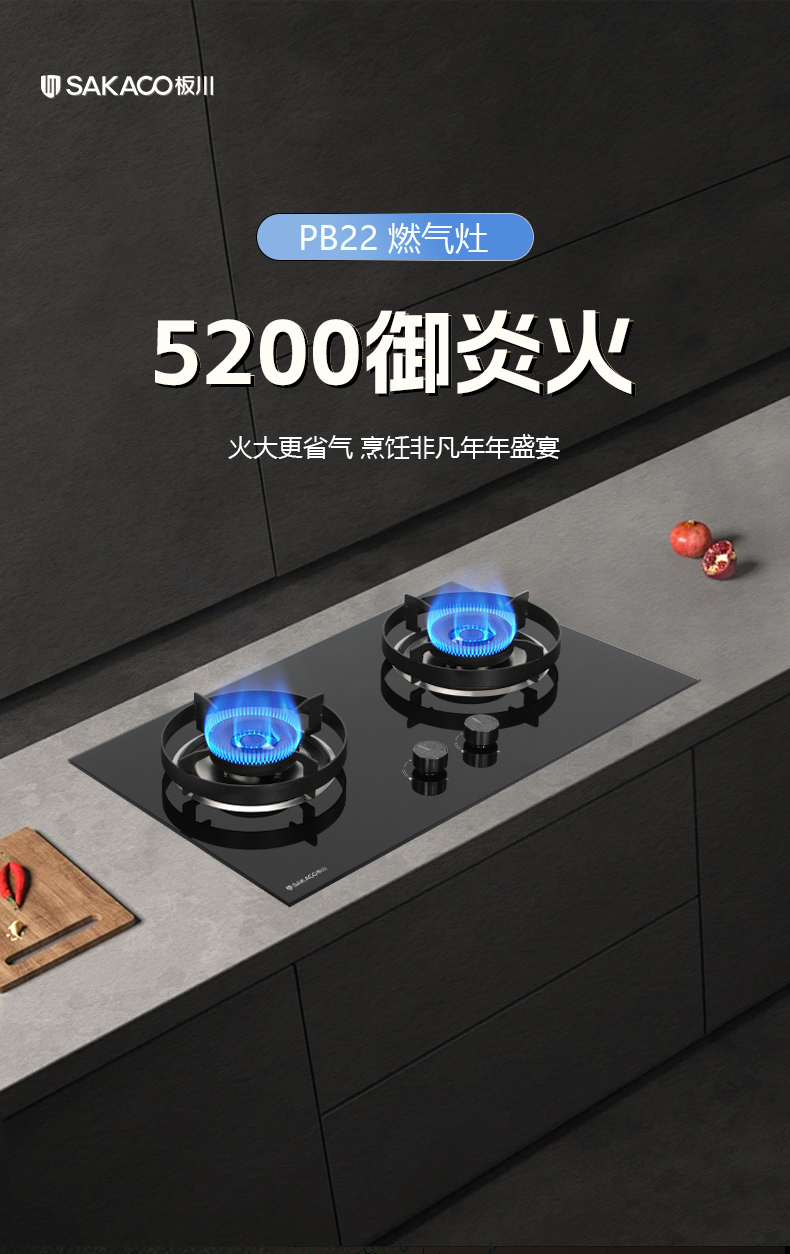 燃气灶PB22